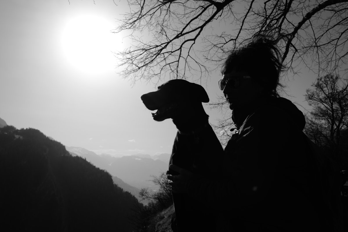 Pension Canine La Tzoumaz